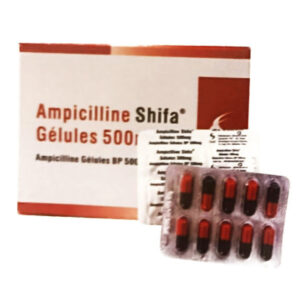 Ampicilline